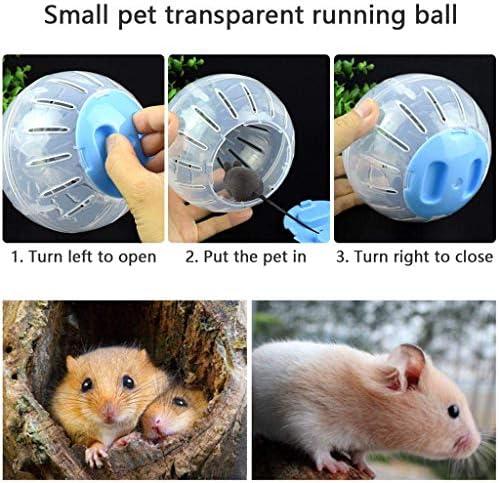 avbxcuecc אוגר רץ תרגיל גלגל כדור יפה בעלי חיים קטנים Chinchillas עכברים עכברים המשחקים כלוב צעצועים לחיות מחמד אספקה